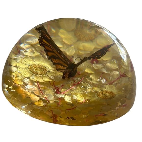 Real Preserved Monarch Butterfly Resin Flower Dome Paperweight 4” X 2” - Picture 7 of 7